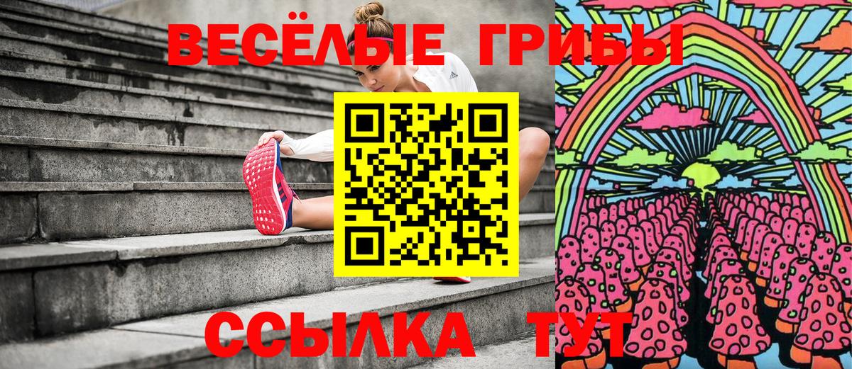 Галлюциногенные грибы прущие грибы  Псилоцибиновые грибы мухоморы  Щёлково  Вход с VPN 